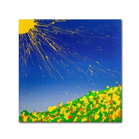 Roderick Stevens 'Sunny Field' Canvas Art,24x24
